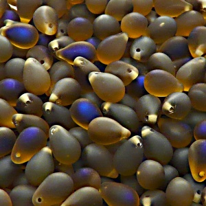 30pcs Czech Pressed Glass Teardrop Beads 6x9mm Topaz Azuro Matte